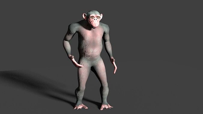 CHIMPAZEE