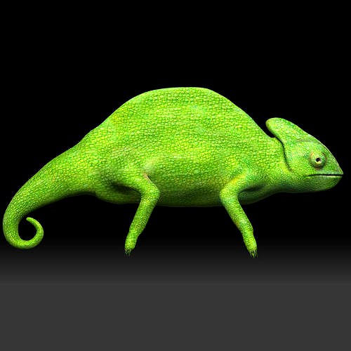 Green Chameleon