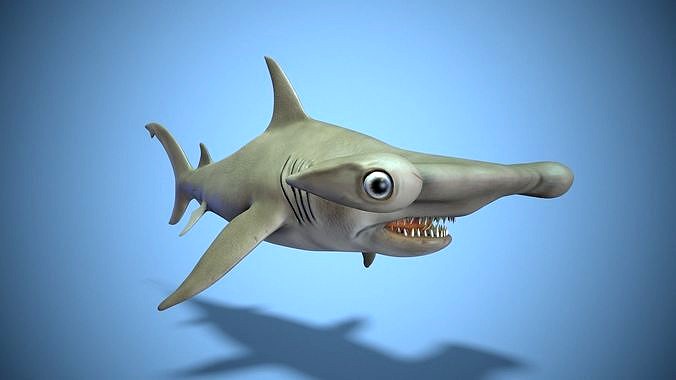 Hammerhead shark