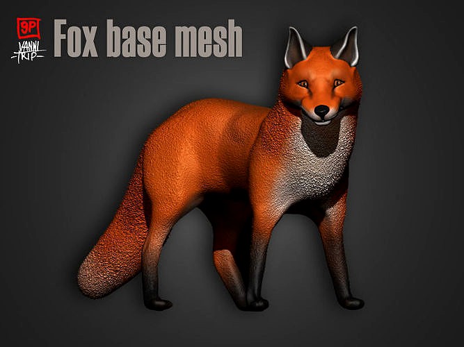 Fox base mesh