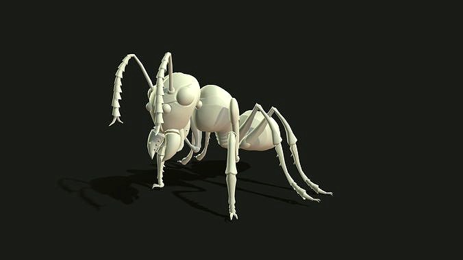 Ant 3dModel