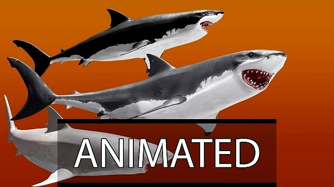Realistic Animated Great White Shark