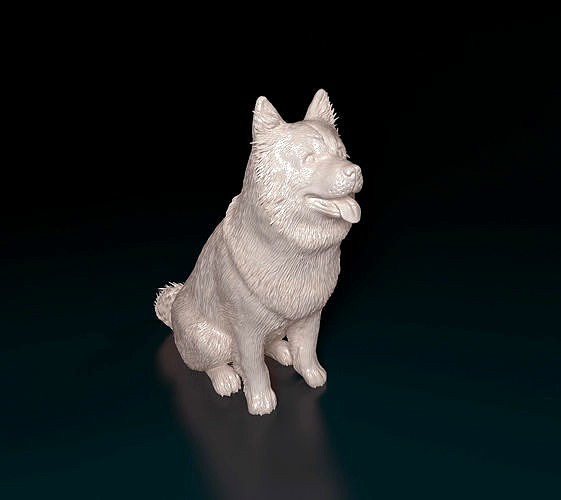 Chow-chow dog | 3D