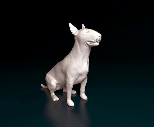 Bull terrier | 3D