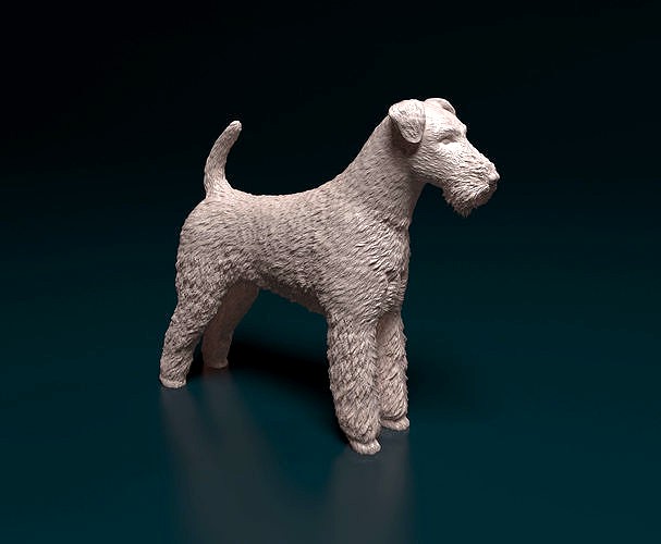 Airedale terrier | 3D