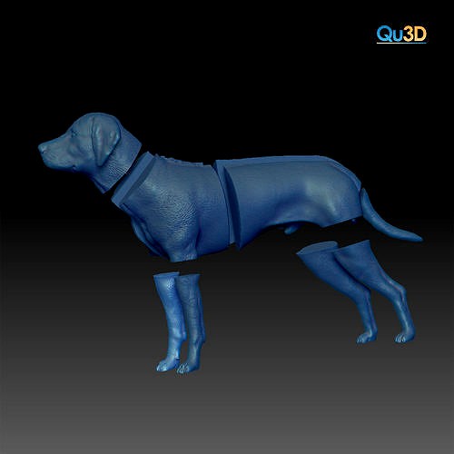 Rhodesian Ridgeback- full body-High-end 3D print model highpoly | 3D