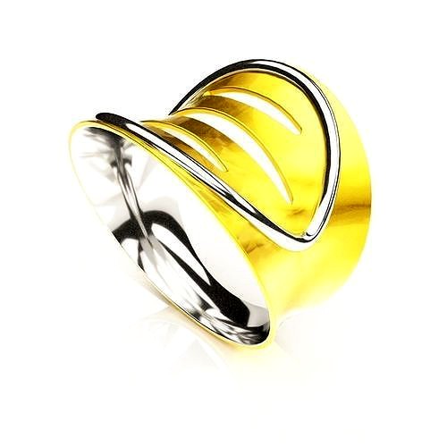 Paraboloidal ring | 3D