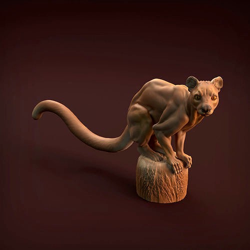 Fossa for 3D Printing | 3D