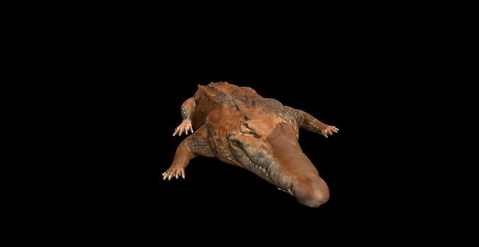 MUD CROC