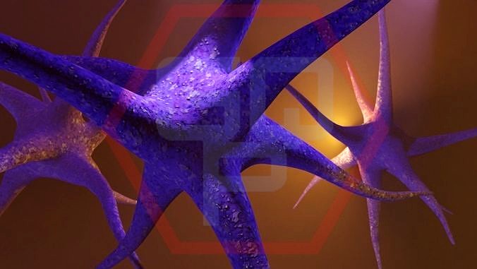 NEURON