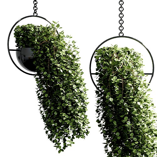 hanging pot 16 - indoor outdoor plant metal vase