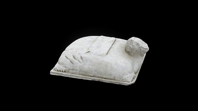 Tortoise