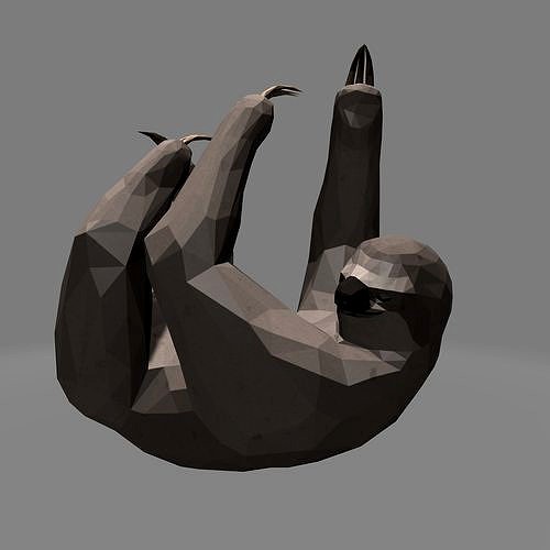 sloth