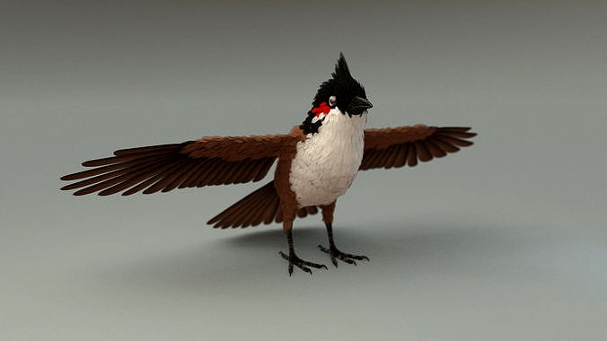 Bird bird sparrows binding model