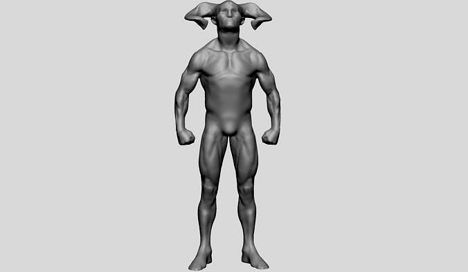 Base Creature Anatomy