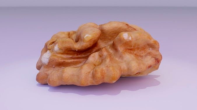 Walnut half kernel 01 high-poly