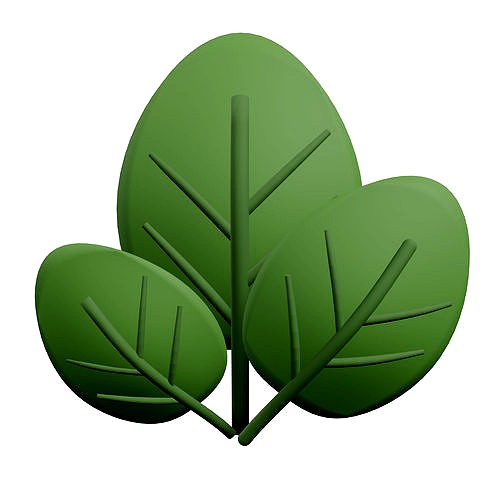 Spinach