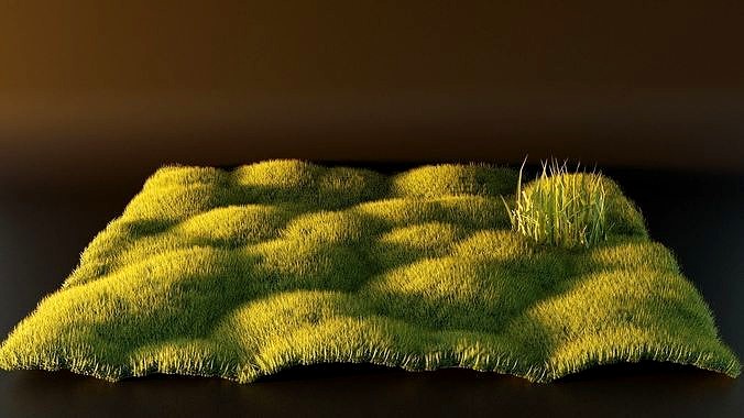 Realistic Grass model