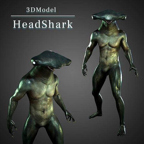 Hammer head shark