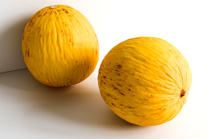 Melon 002