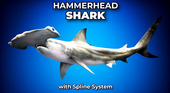 Hammerhead Shark with UE4 Support