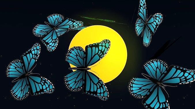 Butterfly