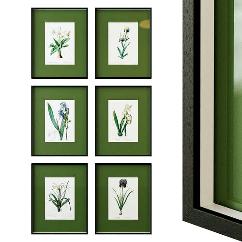 Floral posters with green passe-partout
