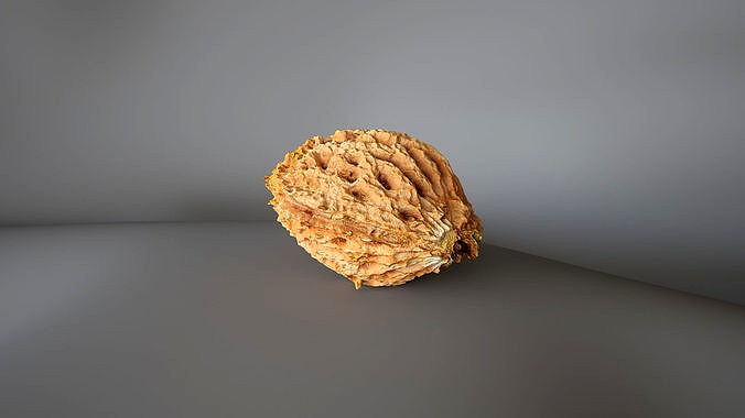 Peach Pit 1 - 3D Scan