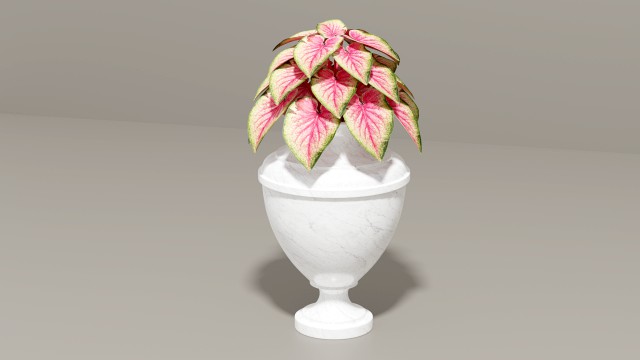 Garden vase