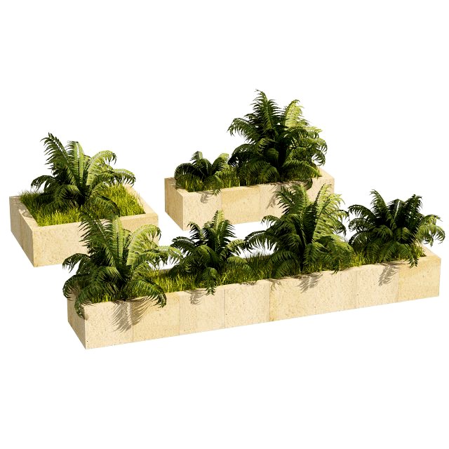 3 Street border plant