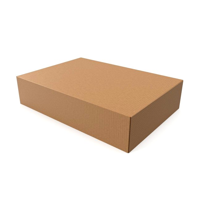 Cardboard box 04