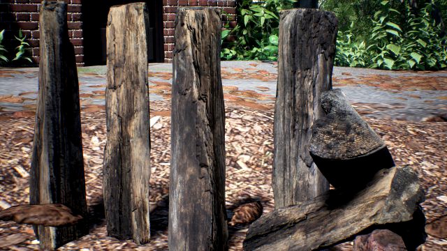 Firewood