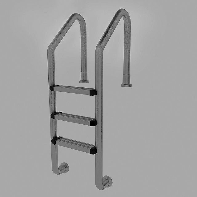 Swimming pool ladder