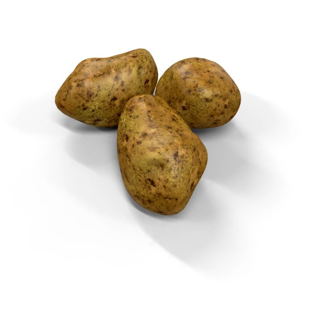 Potato