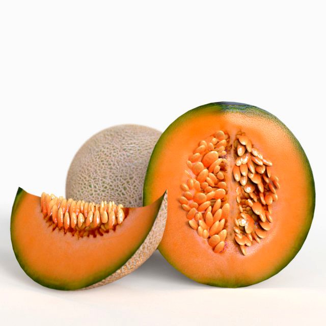 Cantalope