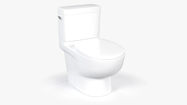 Classic White Toilet