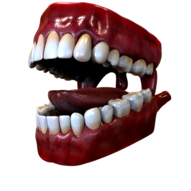 Human Mouth