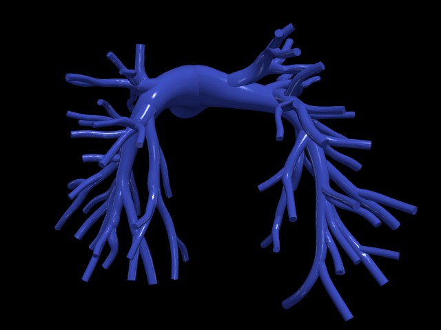 Pulmonary arteries