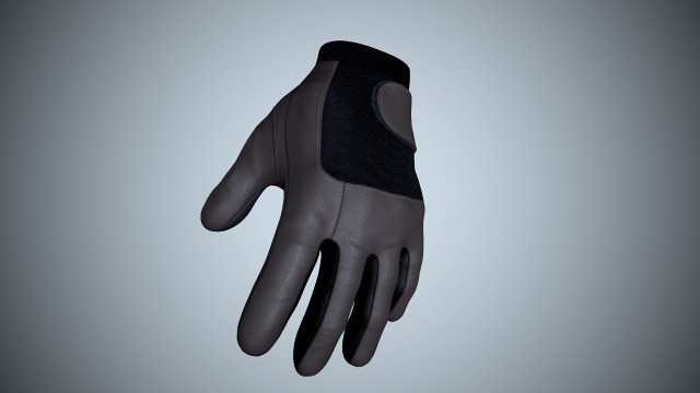 Gloves 01