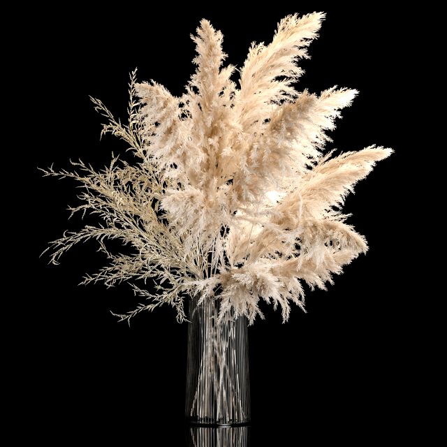 Bouquet Of Pampas Grass In A Vase Dried Flowers