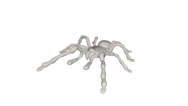Tarantulas