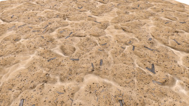 Sand Landscape