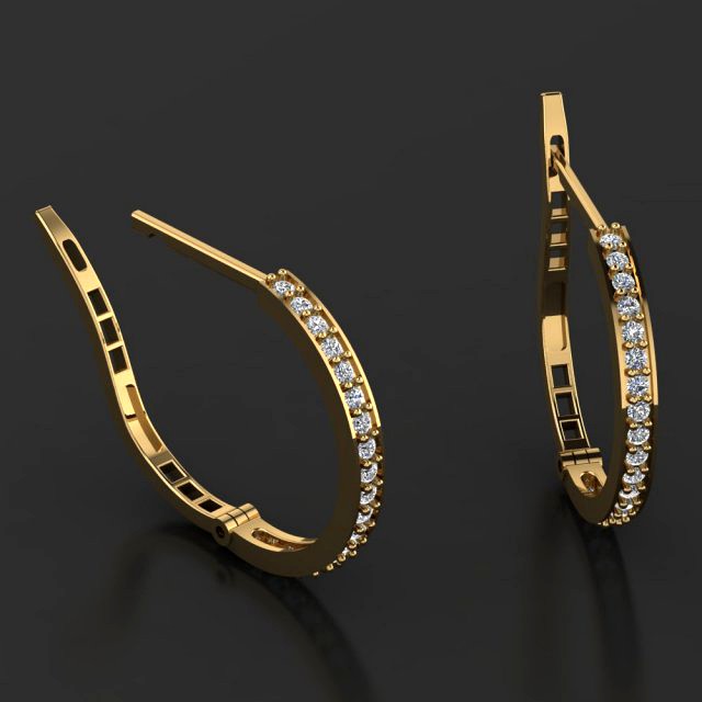 Earings Jewellry