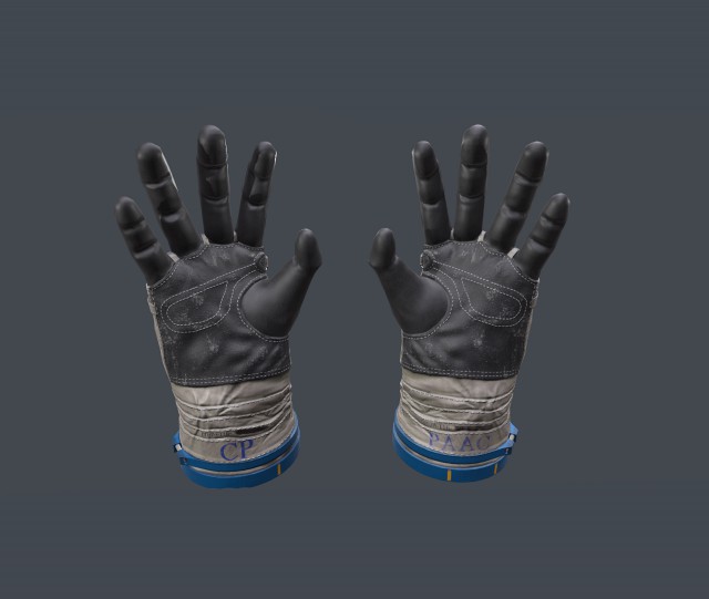 Gloves of the cosmonaut of Russia