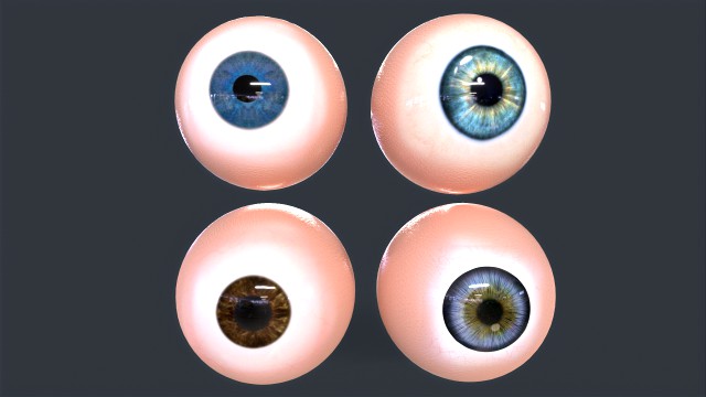 Human Eyeball Pack