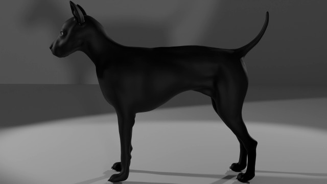 Dog