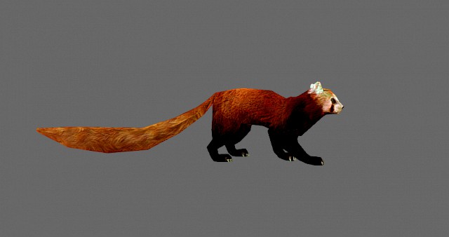 Red Pand panda