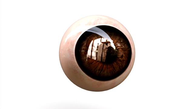 Human Eye