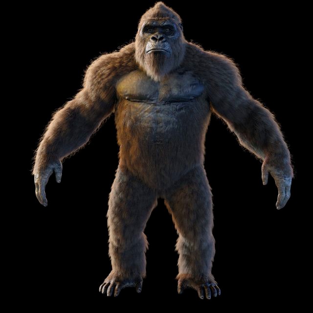 Kong 2021
