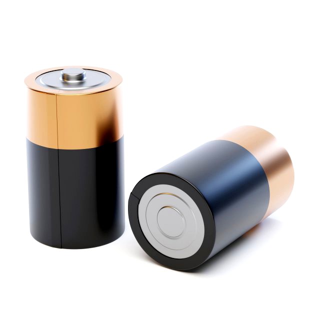 Battery Type D
